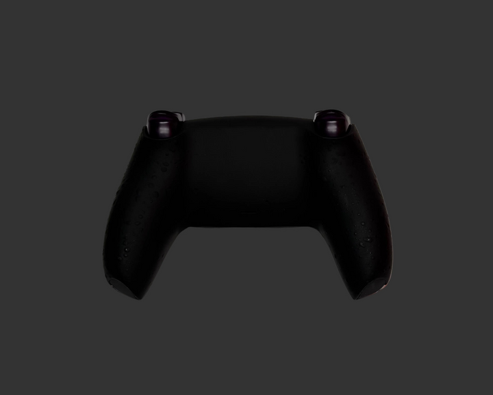 PS5 Controller Spezial Design GTA / FPS