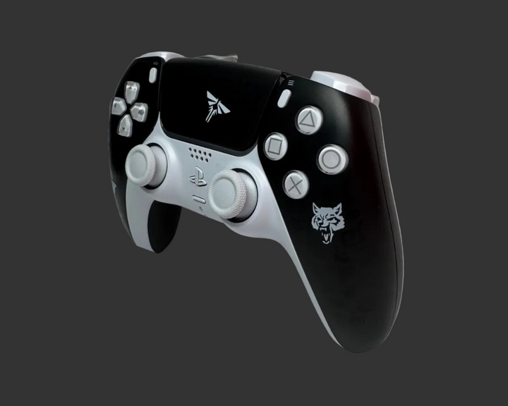 PS5 Controller Spezial im Last of US Design / FPS