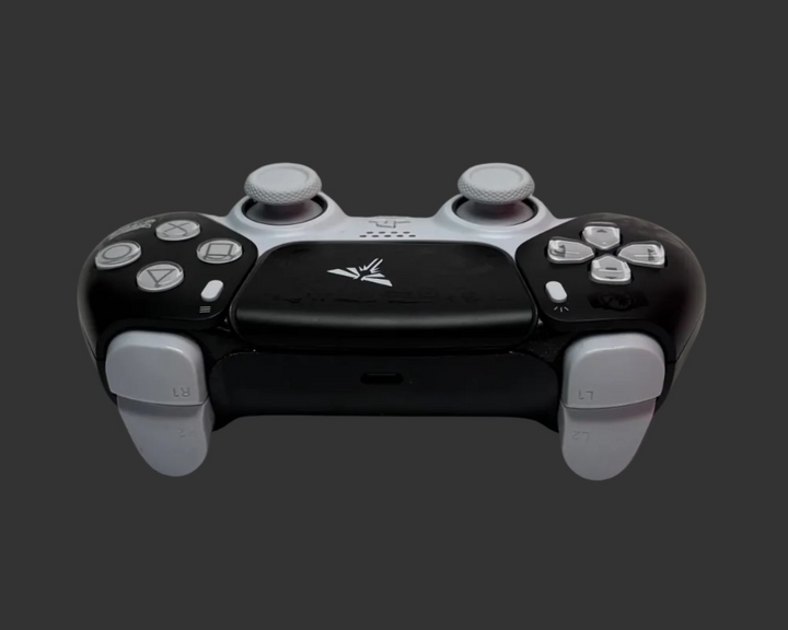PS5 Controller Spezial im Last of US Design / FPS