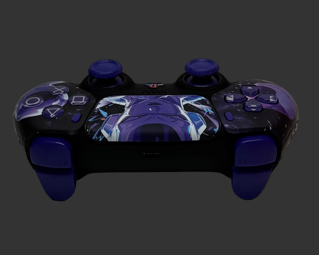 PS5 Controller im Freezer Design / FPS