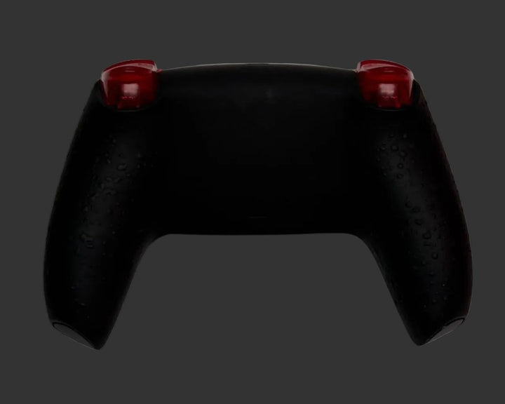 PS5 Controller Spezial Design Spider / FPS